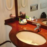 MS Grand Rose 6